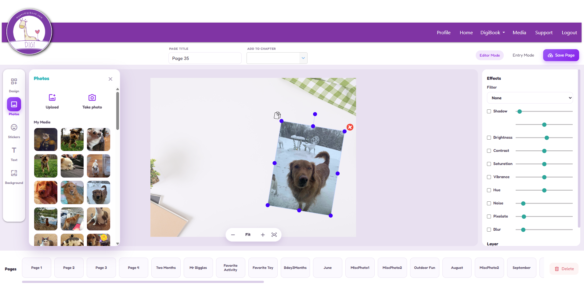 Book editor preview